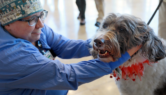 Therapy Dog Stress Break Brings Wagging Tails and Smiling Faces to Lexington Medical Center