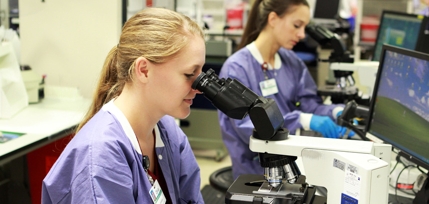 A medical laboratory scientist in purple scrubs looking through a microscope at a specimen.